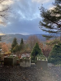 thumbnail_IMG_4580.jpg